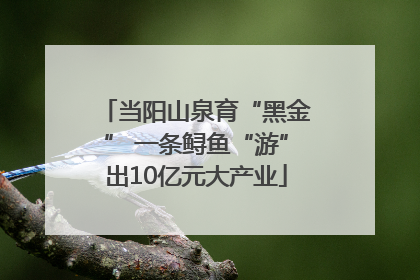 当阳山泉育“黑金” 一条鲟鱼“游”出10亿元大产业