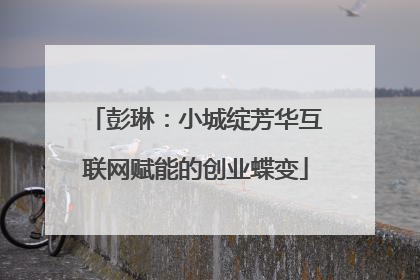彭琳：小城绽芳华互联网赋能的创业蝶变