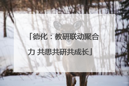 德化：教研联动聚合力 共思共研共成长