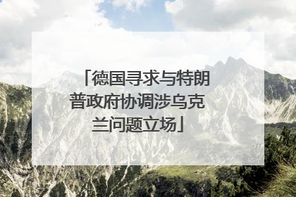 德国寻求与特朗普政府协调涉乌克兰问题立场