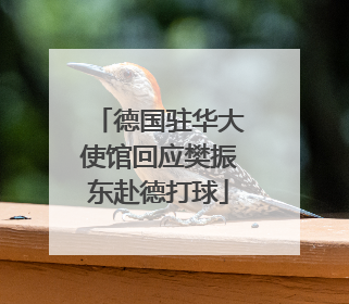 德国驻华大使馆回应樊振东赴德打球