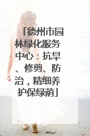 德州市园林绿化服务中心：抗旱、修剪、防治，精细养护保绿荫