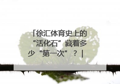 徐汇体育史上的“活化石”藏着多少“第一次”？｜百年体育