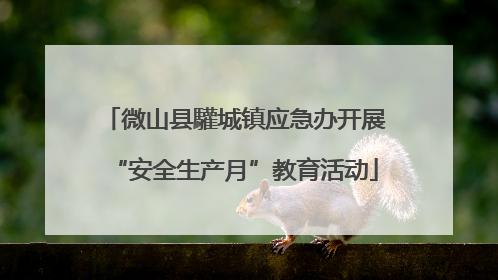 微山县驩城镇应急办开展“安全生产月”教育活动