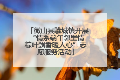 微山县驩城镇开展“情系端午邻里情 粽叶飘香暖人心”志愿服务活动