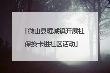 微山县驩城镇开展社保换卡进社区活动