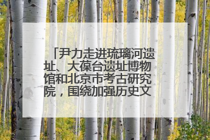 尹力走进琉璃河遗址、大葆台遗址博物馆和北京市考古研究院，围绕加强历史文化名城保护调研