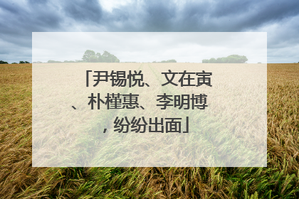 尹锡悦、文在寅、朴槿惠、李明博，纷纷出面