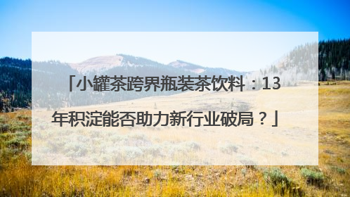 小罐茶跨界瓶装茶饮料：13年积淀能否助力新行业破局？