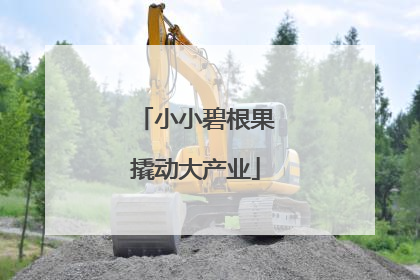 小小碧根果撬动大产业
