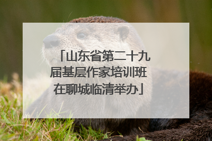 山东省第二十九届基层作家培训班在聊城临清举办