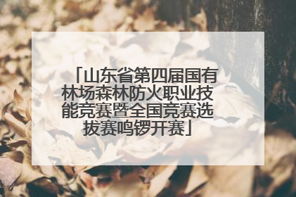 山东省第四届国有林场森林防火职业技能竞赛暨全国竞赛选拔赛鸣锣开赛