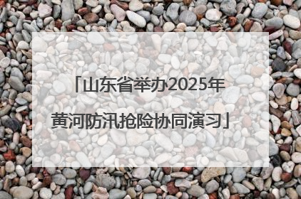 山东省举办2025年黄河防汛抢险协同演习