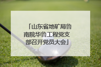 山东省地矿局鲁南院华鲁工程党支部召开党员大会