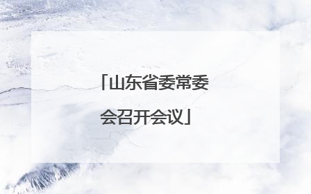 山东省委常委会召开会议