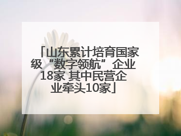 山东累计培育国家级“数字领航”企业18家 其中民营企业牵头10家