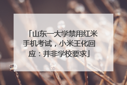 山东一大学禁用红米手机考试，小米王化回应：并非学校要求