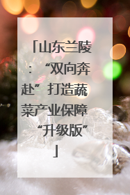 山东兰陵：“双向奔赴”打造蔬菜产业保障“升级版”
