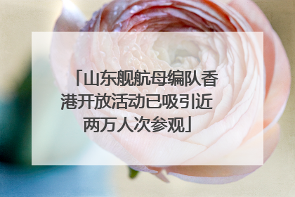 山东舰航母编队香港开放活动已吸引近两万人次参观