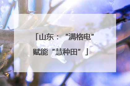 山东：“满格电”赋能“慧种田”