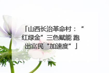山西长治革命村：“红绿金”三色赋能 跑出富民“加速度”
