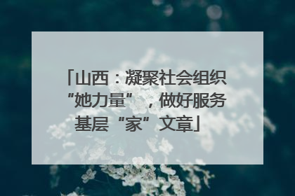 山西：凝聚社会组织“她力量”，做好服务基层“家”文章