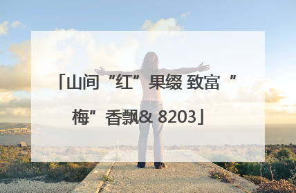 山间“红”果缀 致富“梅”香飘& 8203
