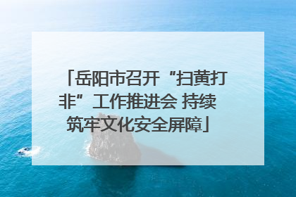 岳阳市召开“扫黄打非”工作推进会 持续筑牢文化安全屏障