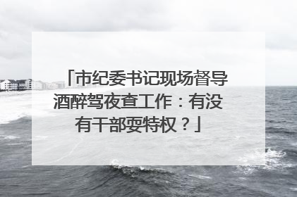 市纪委书记现场督导酒醉驾夜查工作：有没有干部耍特权？