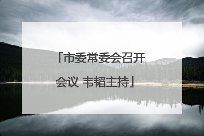 市委常委会召开会议 韦韬主持