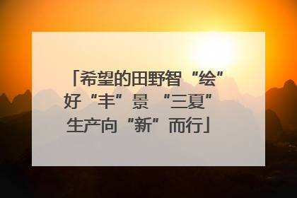 希望的田野智“绘”好“丰”景 “三夏”生产向“新”而行