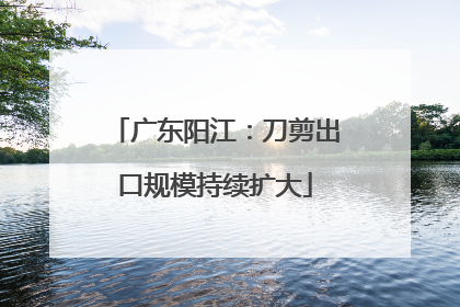 广东阳江：刀剪出口规模持续扩大