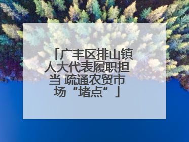 广丰区排山镇人大代表履职担当 疏通农贸市场“堵点”