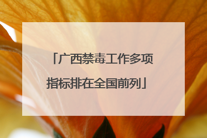 广西禁毒工作多项指标排在全国前列