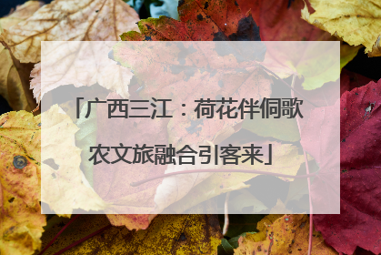 广西三江：荷花伴侗歌 农文旅融合引客来