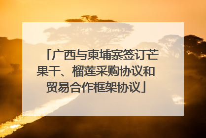 广西与柬埔寨签订芒果干、榴莲采购协议和贸易合作框架协议