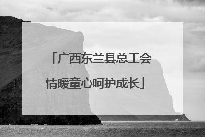 广西东兰县总工会情暖童心呵护成长