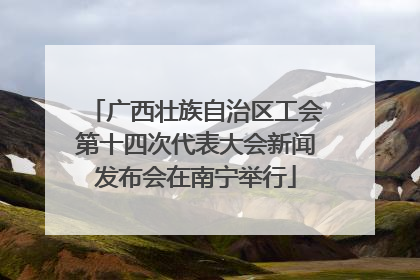 广西壮族自治区工会第十四次代表大会新闻发布会在南宁举行