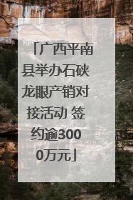 广西平南县举办石硖龙眼产销对接活动 签约逾3000万元