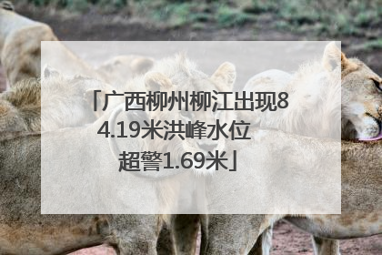 广西柳州柳江出现84.19米洪峰水位 超警1.69米