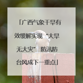广西气象干旱有效缓解实现“大旱无大灾” 防汛防台风成下一重点