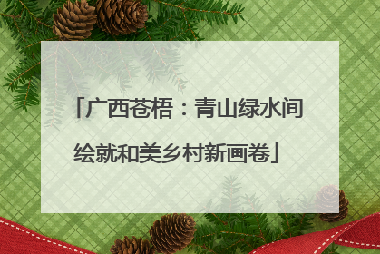广西苍梧：青山绿水间绘就和美乡村新画卷