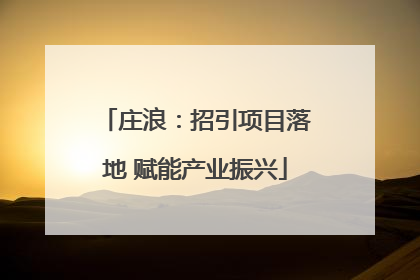 庄浪：招引项目落地 赋能产业振兴