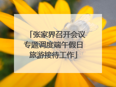 张家界召开会议专题调度端午假日旅游接待工作