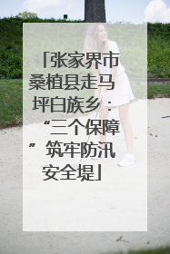张家界市桑植县走马坪白族乡：“三个保障”筑牢防汛安全堤