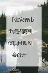 张家界市重点招商引资项目调度会召开