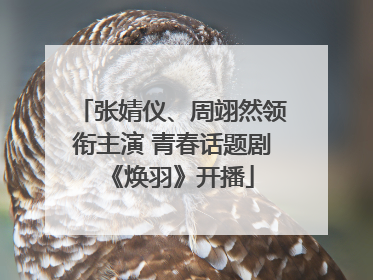 张婧仪、周翊然领衔主演 青春话题剧《焕羽》开播