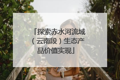 探索赤水河流域（云南段）生态产品价值实现