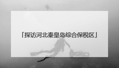 探访河北秦皇岛综合保税区