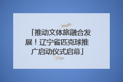 推动文体旅融合发展！辽宁省匹克球推广启动仪式启幕